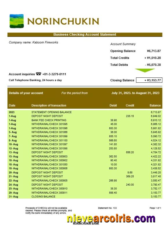 Norinchukin Bank enterprise statement